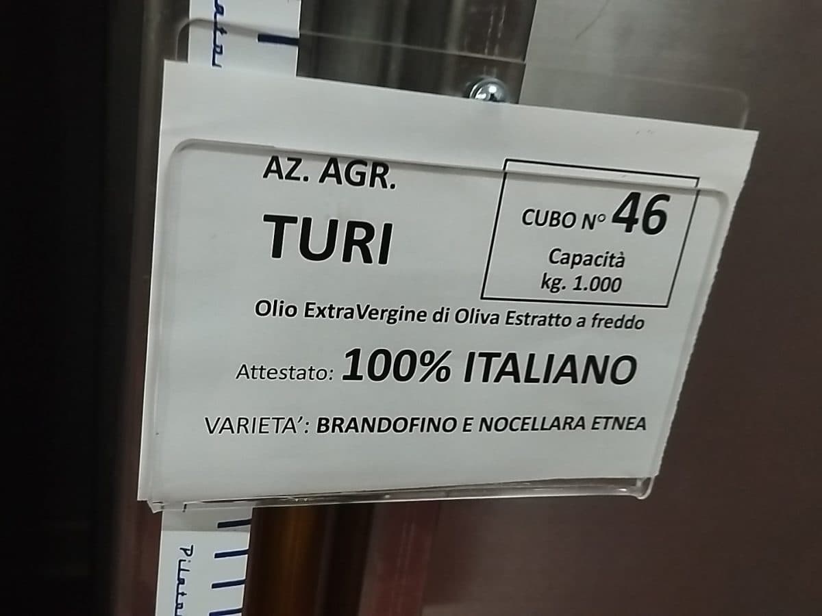 Passeggiate tra ulivi e aromatiche con degustazione professionale di Olio Evo 5