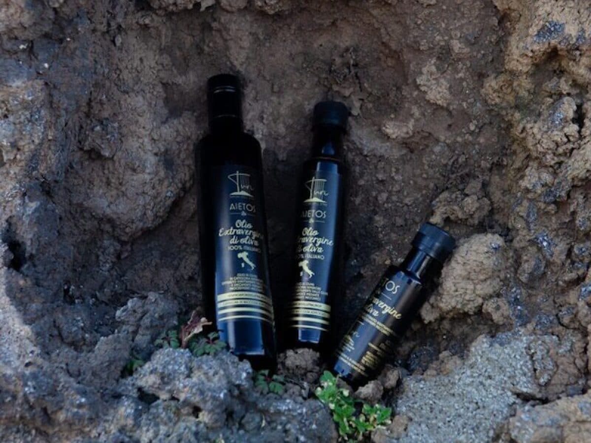 Passeggiate tra ulivi e aromatiche con degustazione professionale di Olio Evo