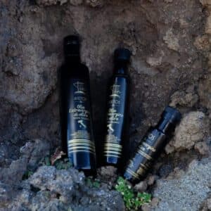 Passeggiate tra ulivi e aromatiche con degustazione professionale di Olio Evo