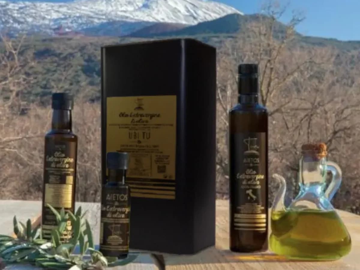 Passeggiate tra ulivi e aromatiche con degustazione professionale di Olio Evo 4