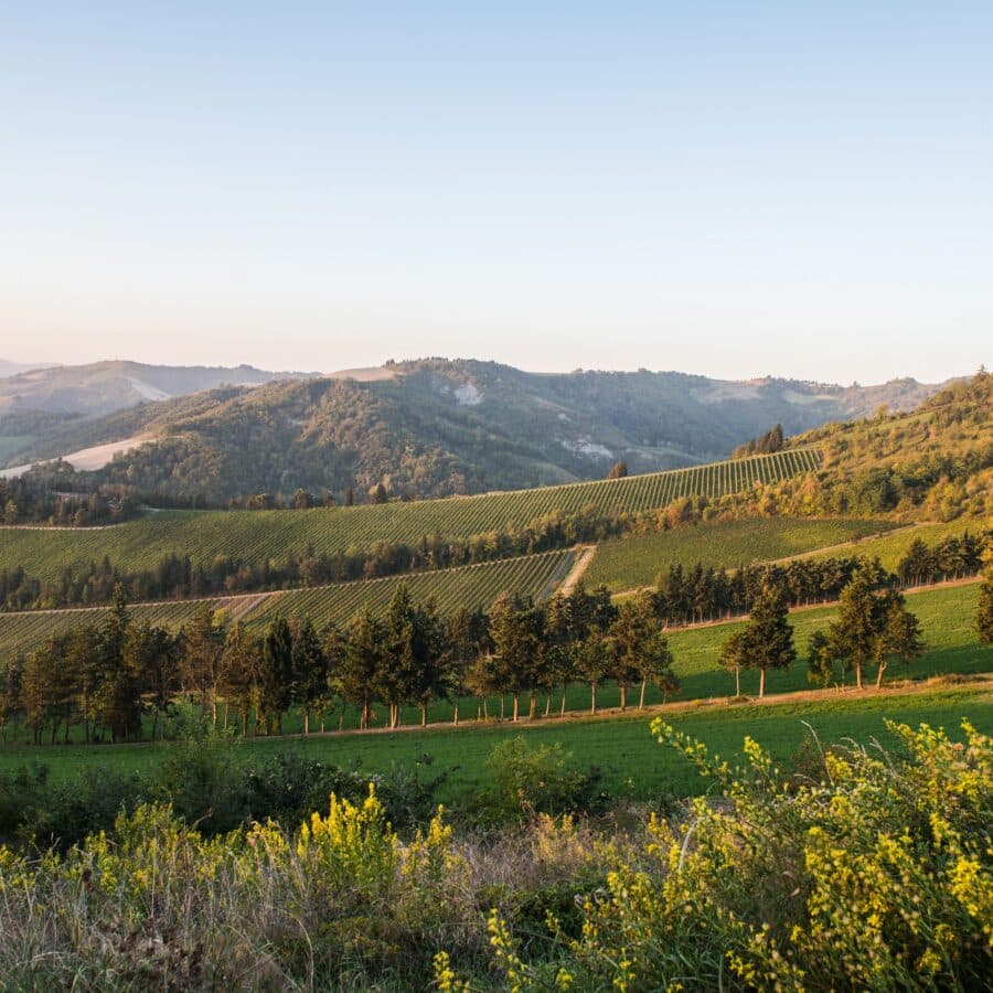 Dalla cantina alla tavola