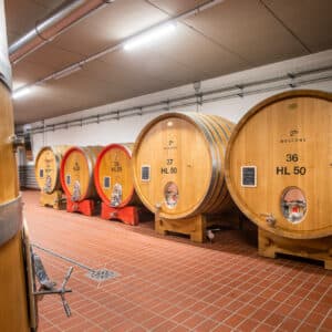 Il Dosman : Degustazione in cantina La Morra