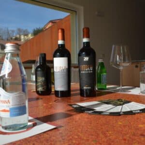 Discover Titolo World &amp; Old Vintage