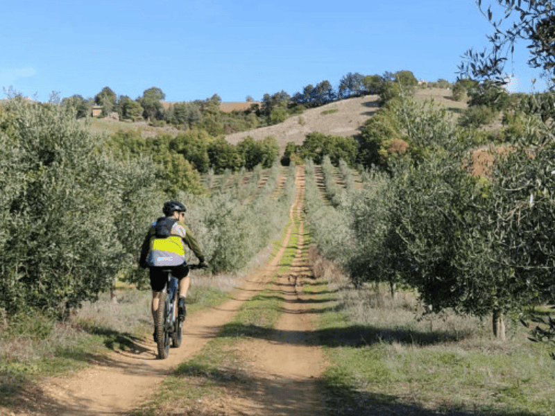 Tour in e-bike con picnic o degustazione di Vini Naturali