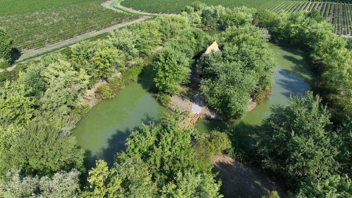 Mazzolada Tutto Tondo