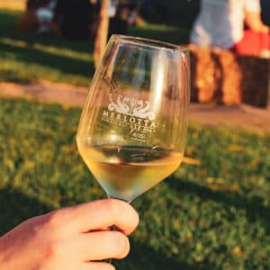 Wine Tour e Degustazione I Classici