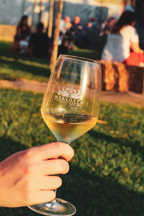 Wine Tour e Degustazione I Classici