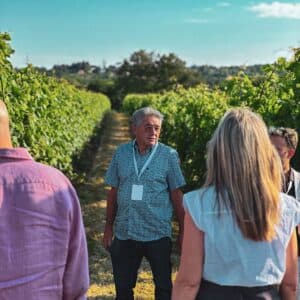 Wine Tour e Degustazione Selezioni Autoctone