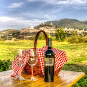 Pic nic nel Vigneto di Assisi con degustazione guidata di vino