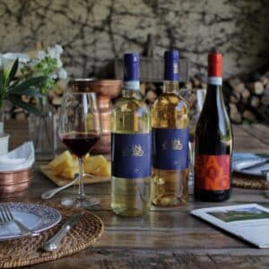 Wine Experience: Visita ai Vigneti e Degustazione Vini