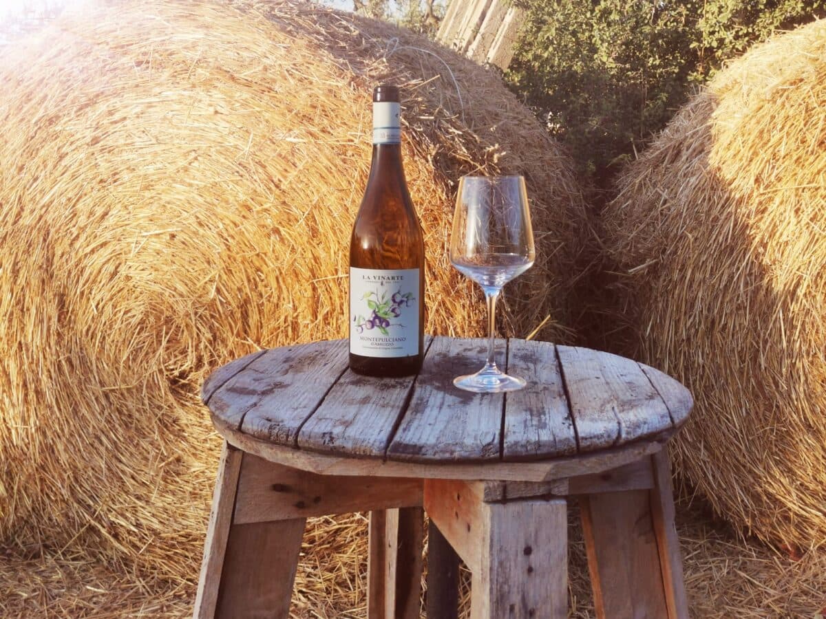 Vigneti Aperti – Degustazione Vineyard