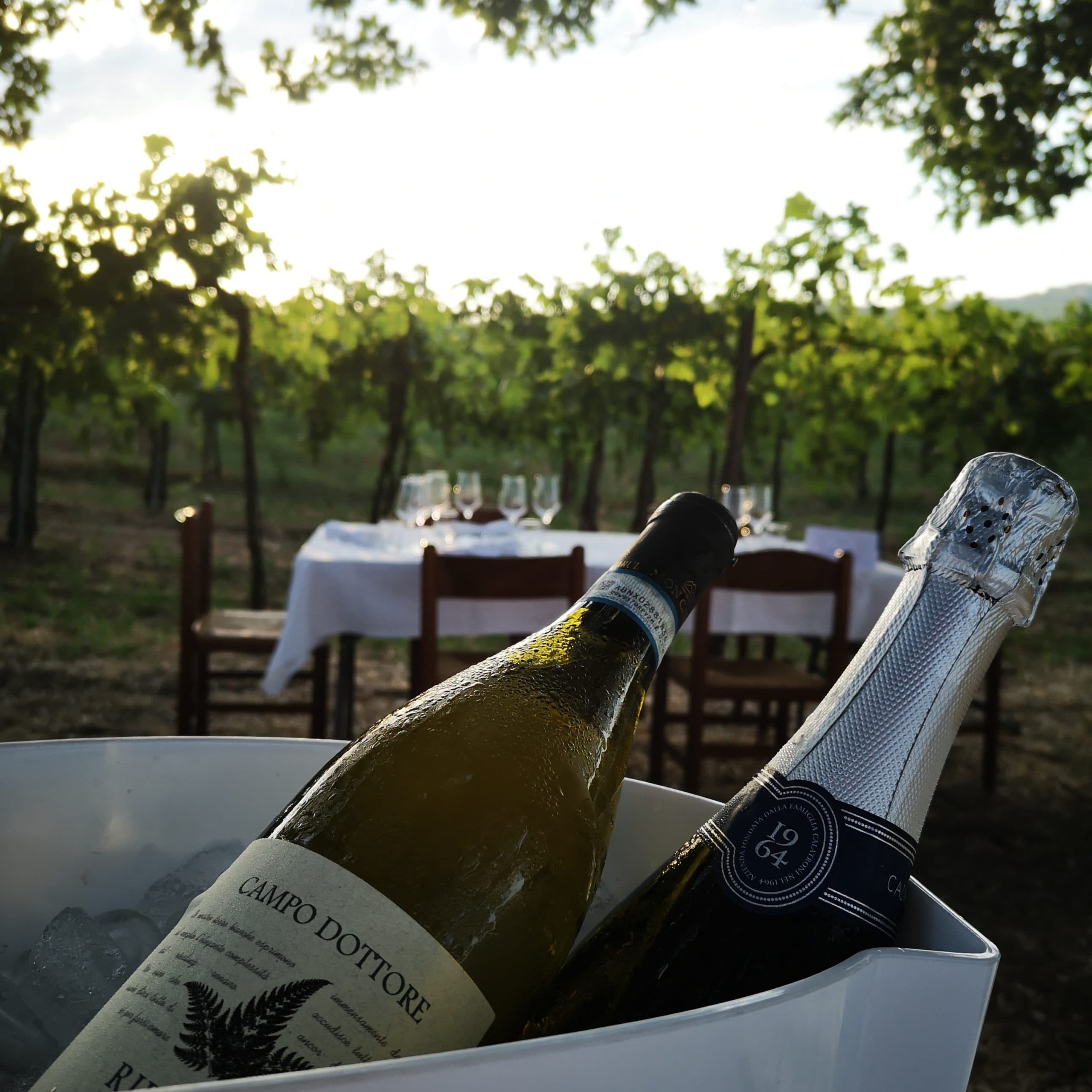 Azienda Agricola Calatroni