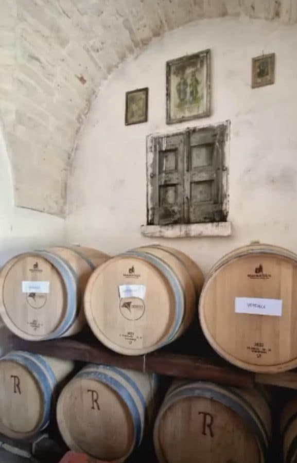 Tour dei vigneti, degustazione tecnica da vasca e barrique, assaggio finale con prodotti tipici locali 3