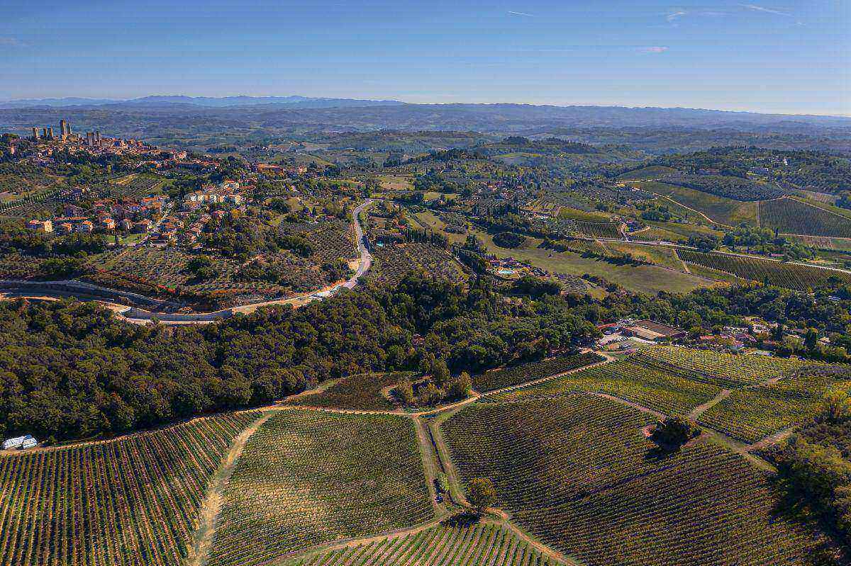 Picnic in vigna tra i filari della Vernaccia di San Gimignano 5