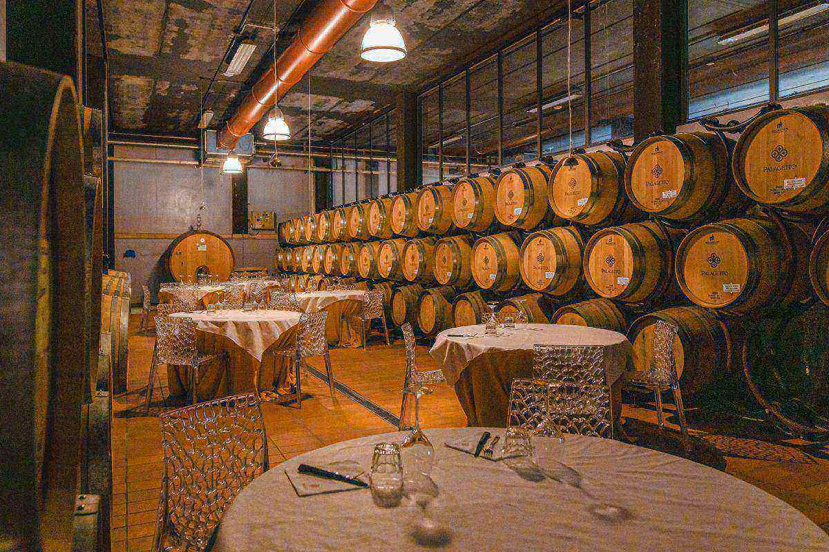 Degustazione "San Gimignano" - Palagetto winery 4