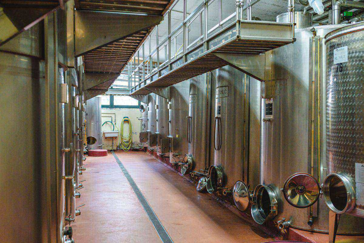 Light Lunch "Tosca" - Palagetto Winery 5