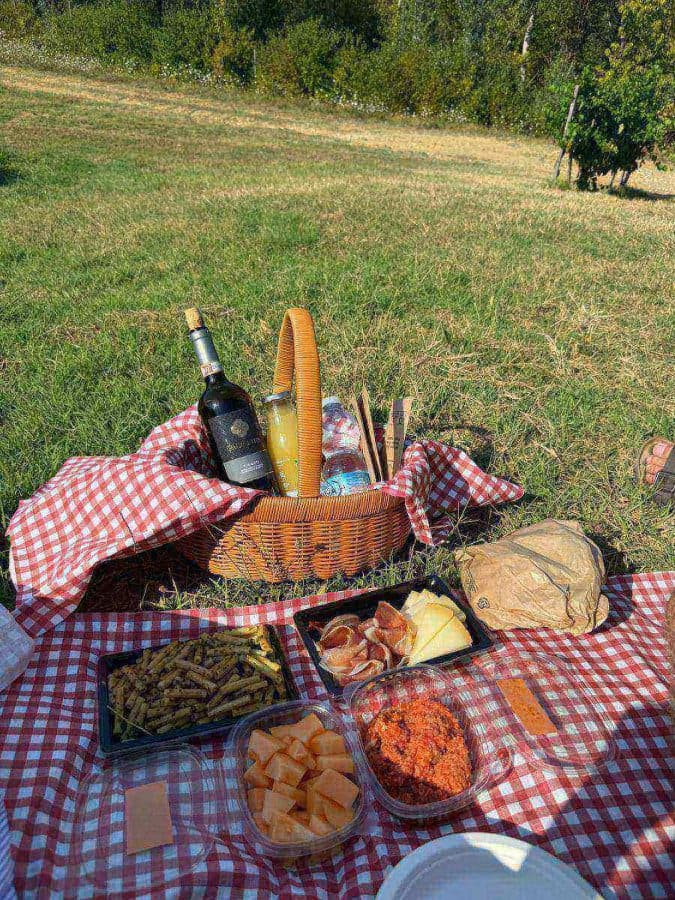 Picnic in vigna tra i filari della Vernaccia di San Gimignano 2
