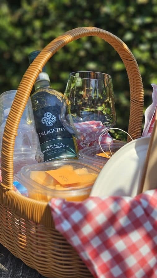 Picnic in vigna tra i filari della Vernaccia di San Gimignano 3