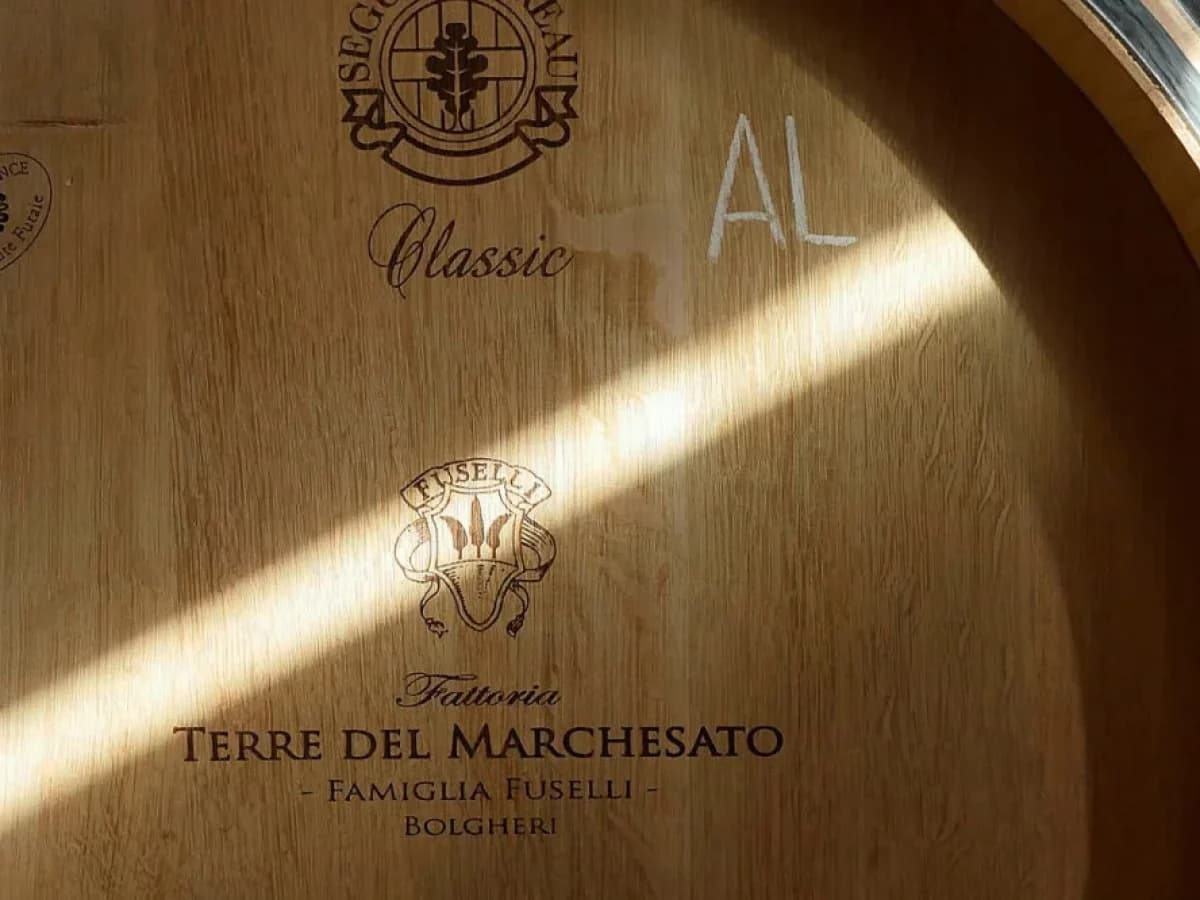 Visita con degustazione “RETROSPETTIVA DI MARCHESALE” 4