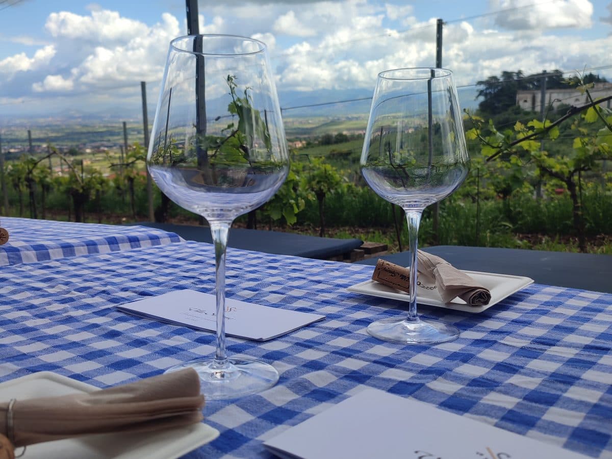 Evolution Wine Tasting 2