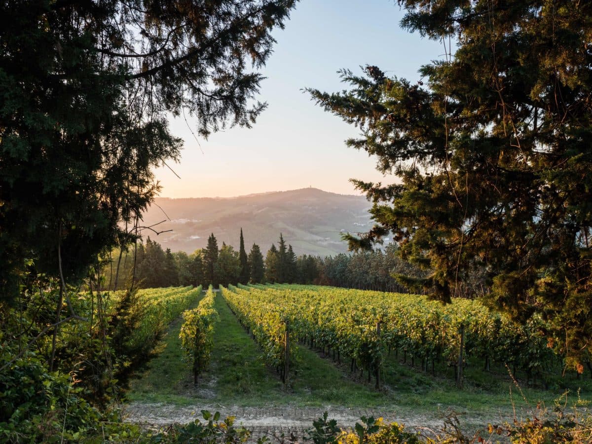 Corso di pasta fatta in casa 2
