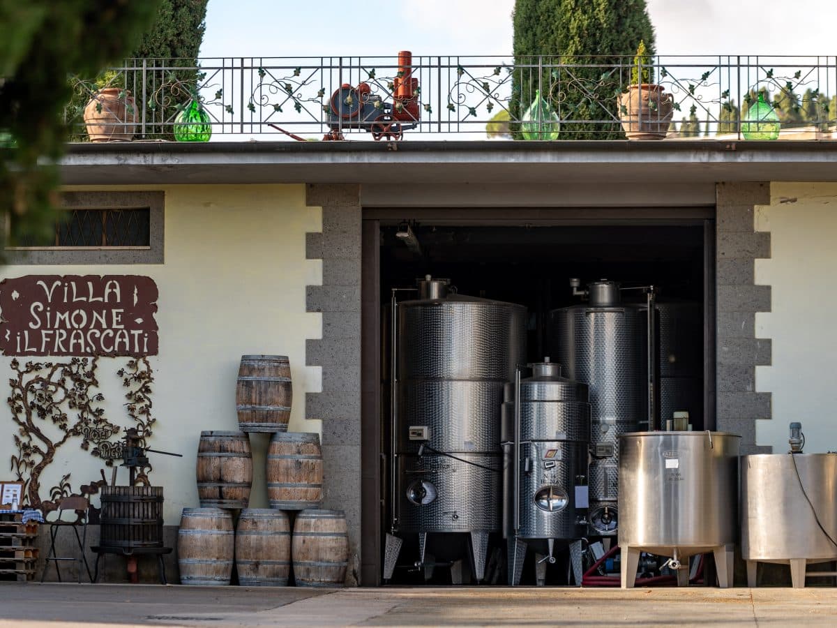 Evolution Wine Tasting 3