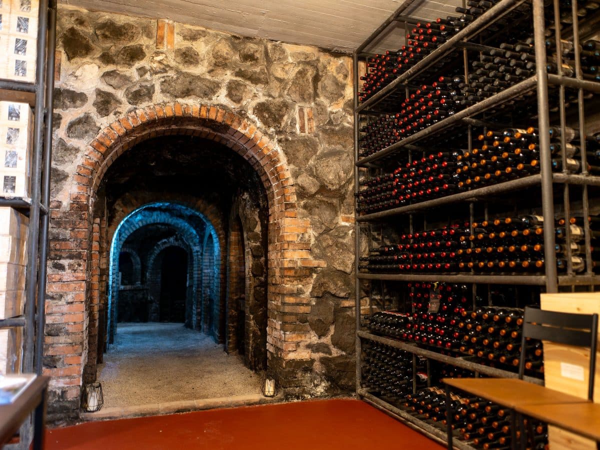 Evolution Wine Tasting 5