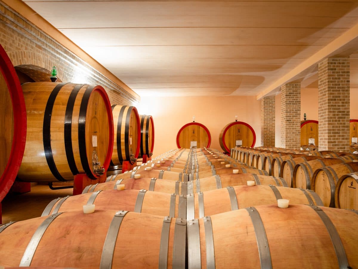 Le Sfumature del Rosso Piceno 4