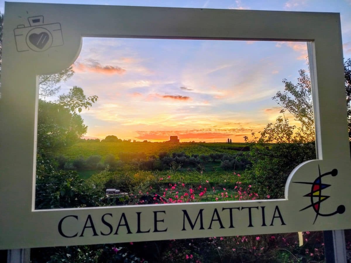 degustazione di vini alla scoperta del territorio dei Castelli Romani presso Casale Mattia 3