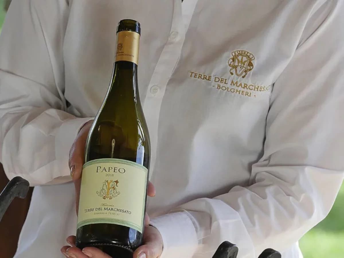 Visita con degustazione “CLASSIC” 2