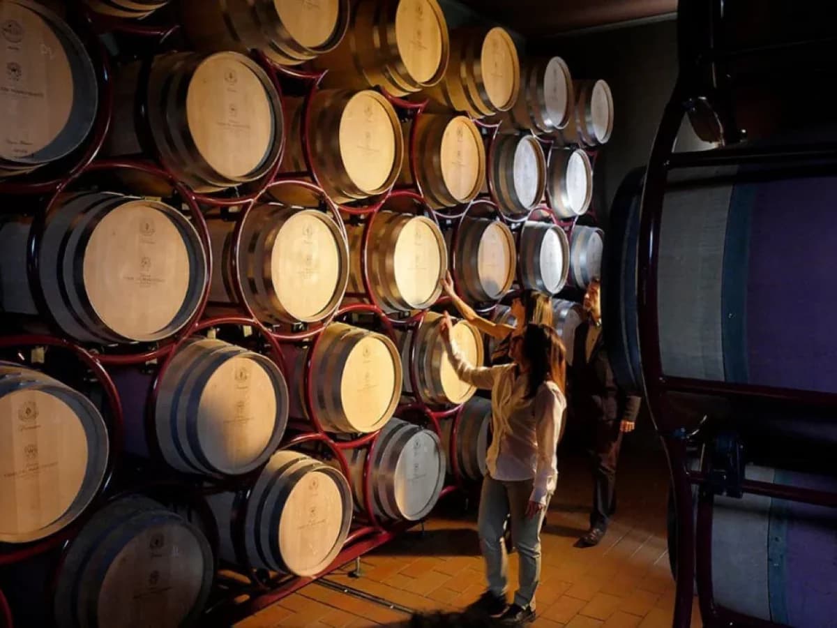 Visita con degustazione “VERTICALE DI ALDONE” 4