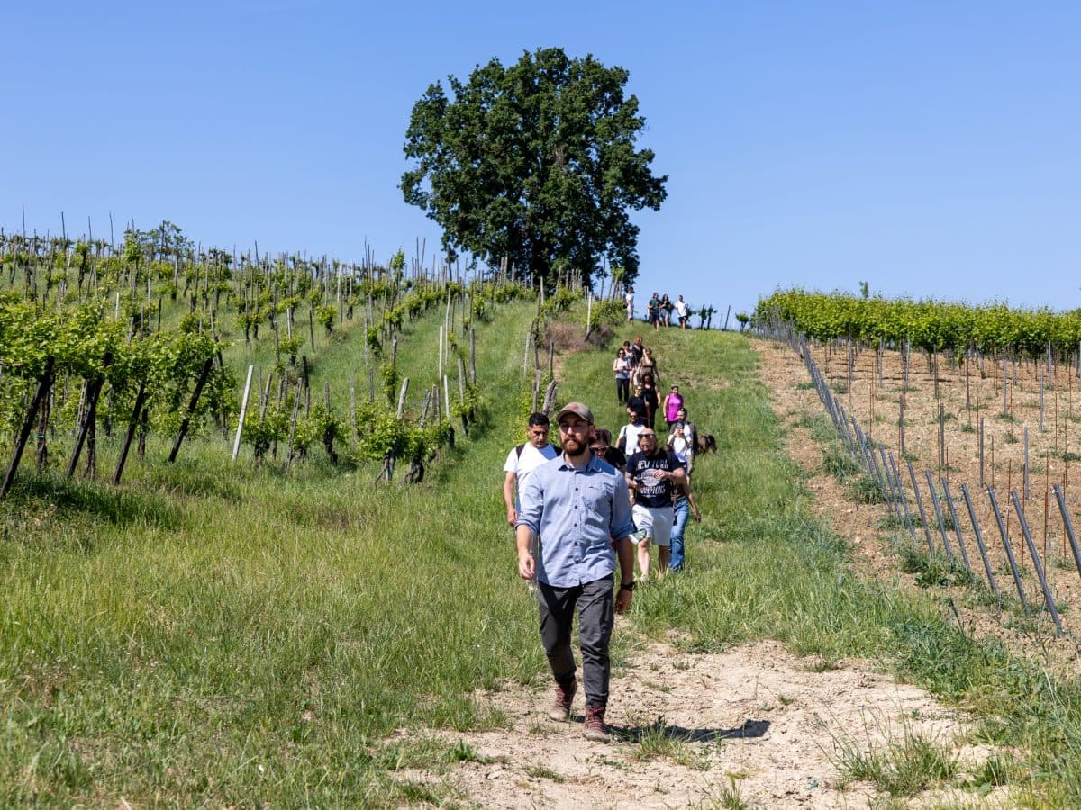 Trekking tra i Vigneti e Brunch con Degustazione di Vini 2