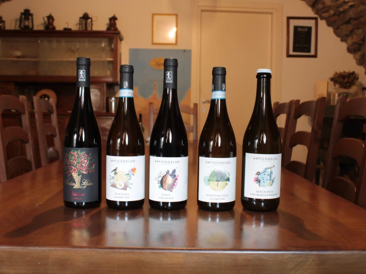 Passeggiata in vigneto e degustazione di 4 vini tipici del Lago di Garda. 5