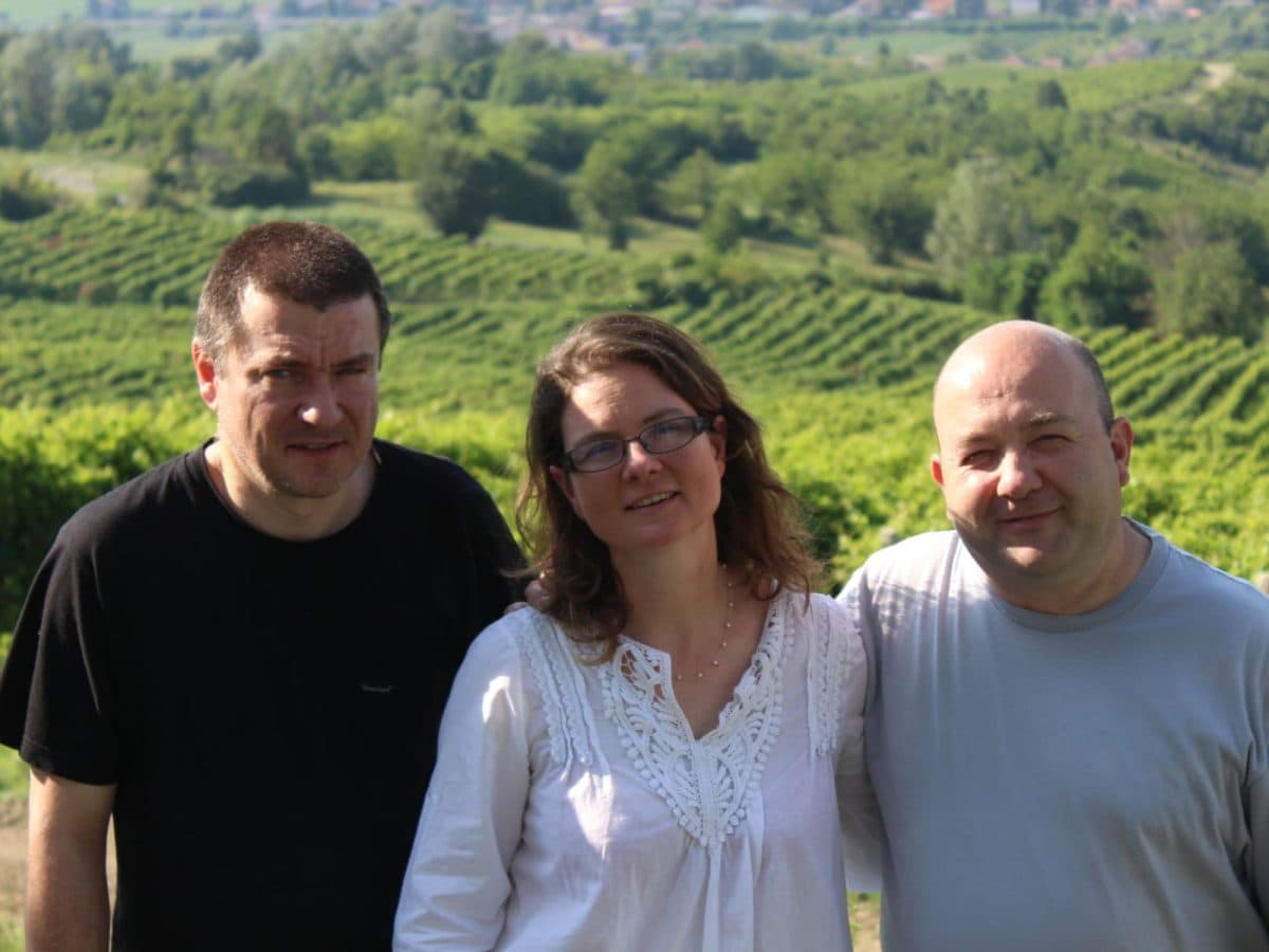 Vedere e capire come nasce una bottiglia di vino. 5