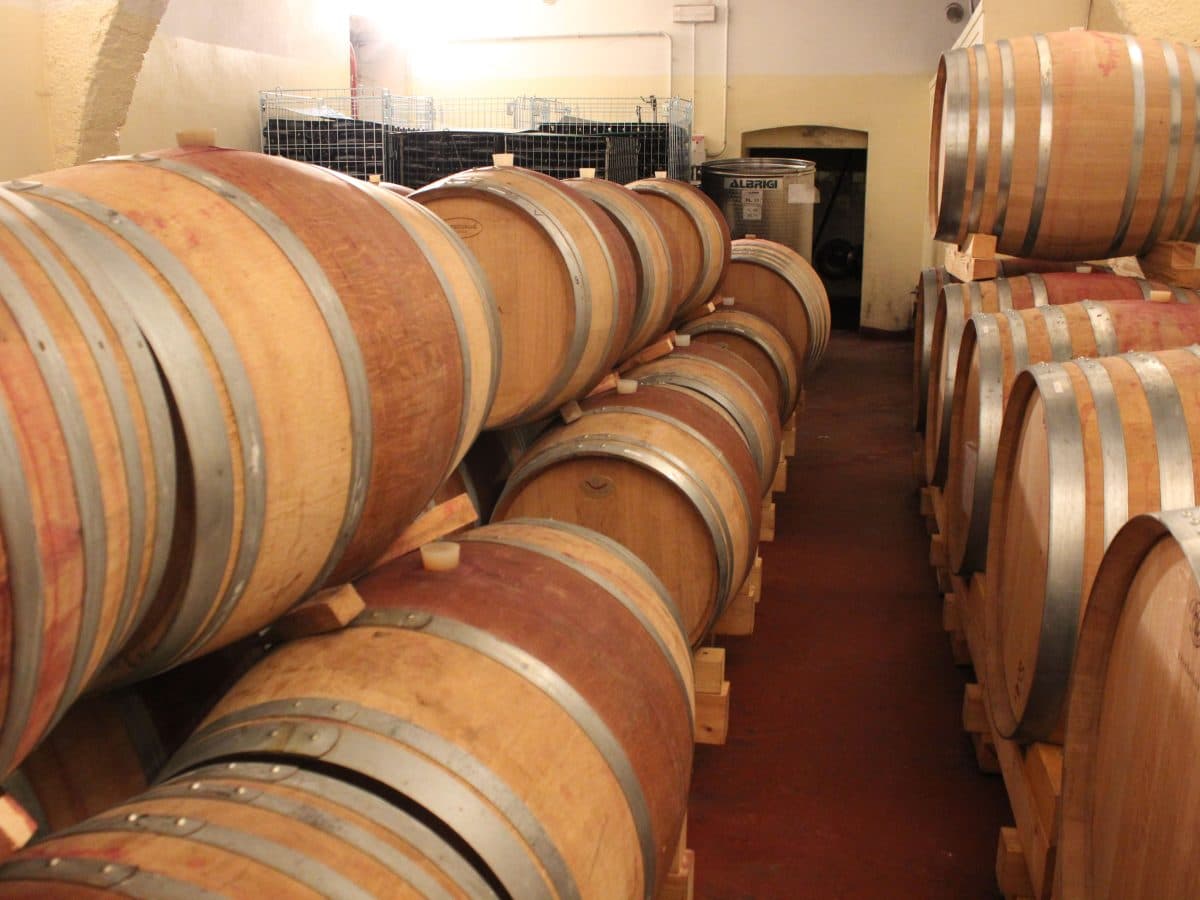 Vedere e capire come nasce una bottiglia di vino. 4