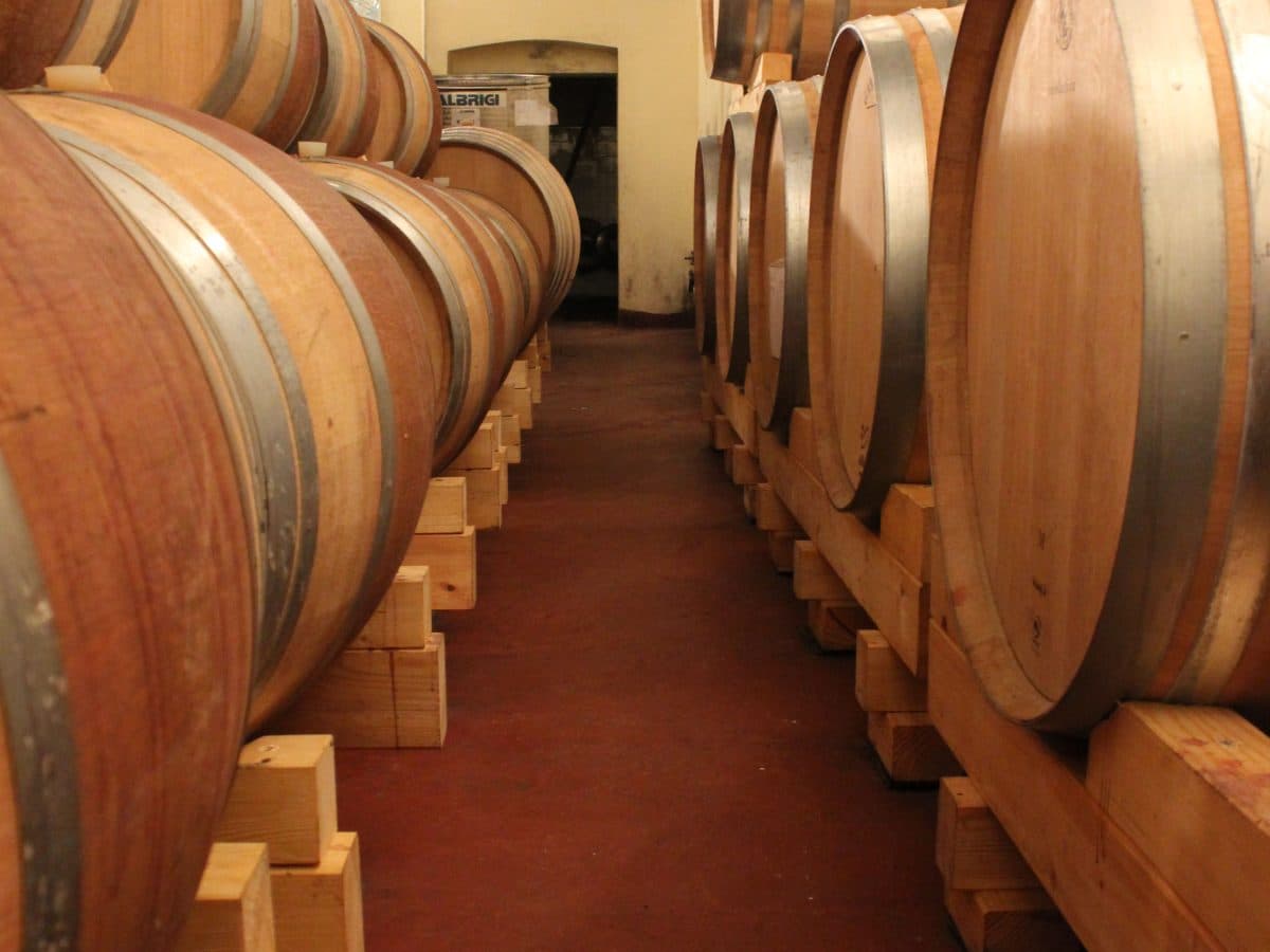 Vedere e capire come nasce una bottiglia di vino. 3