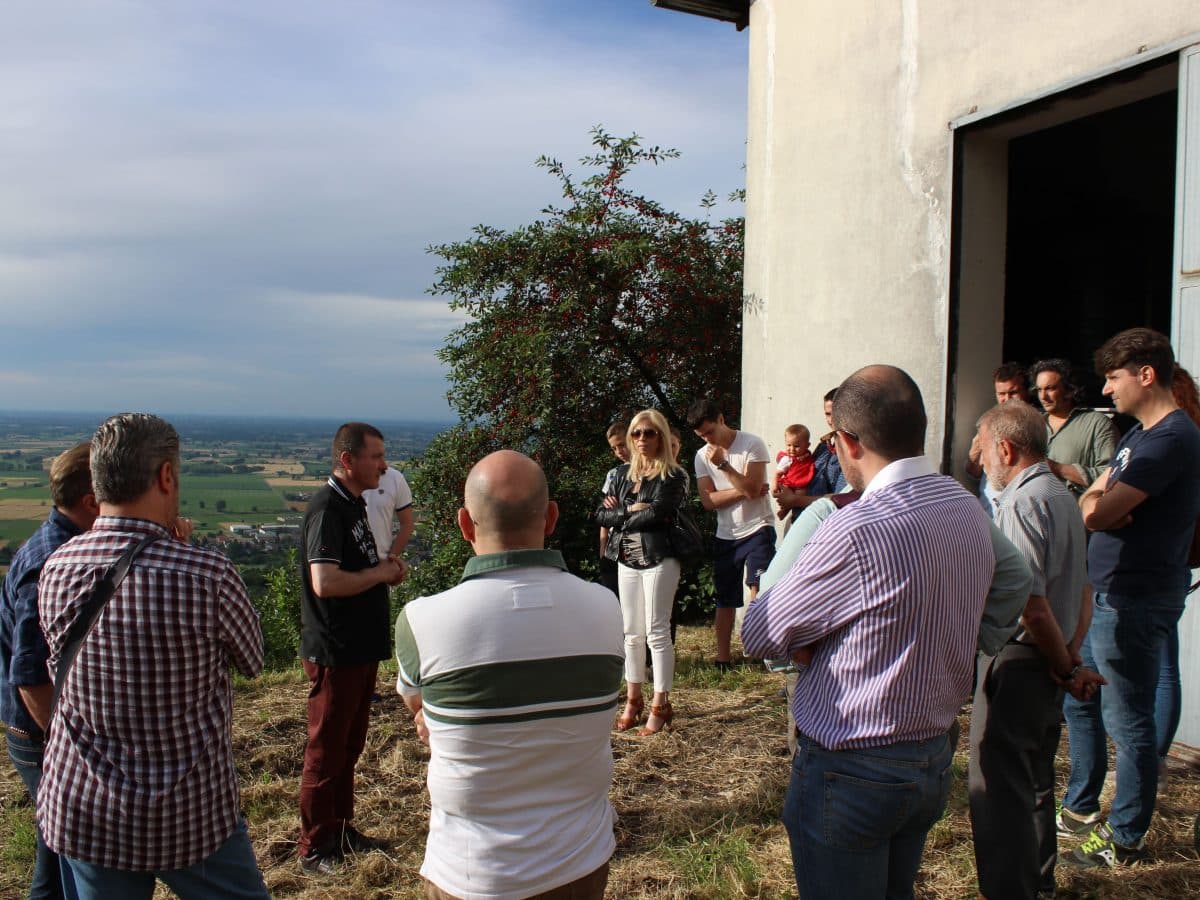 Vedere e capire come nasce una bottiglia di vino. 2