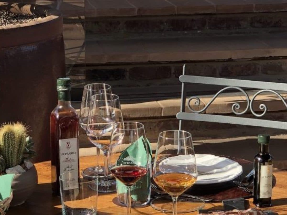 Tenuta Pomario. Degustazione semplice, assaggio di 6 vini e olio di nostra produzione.