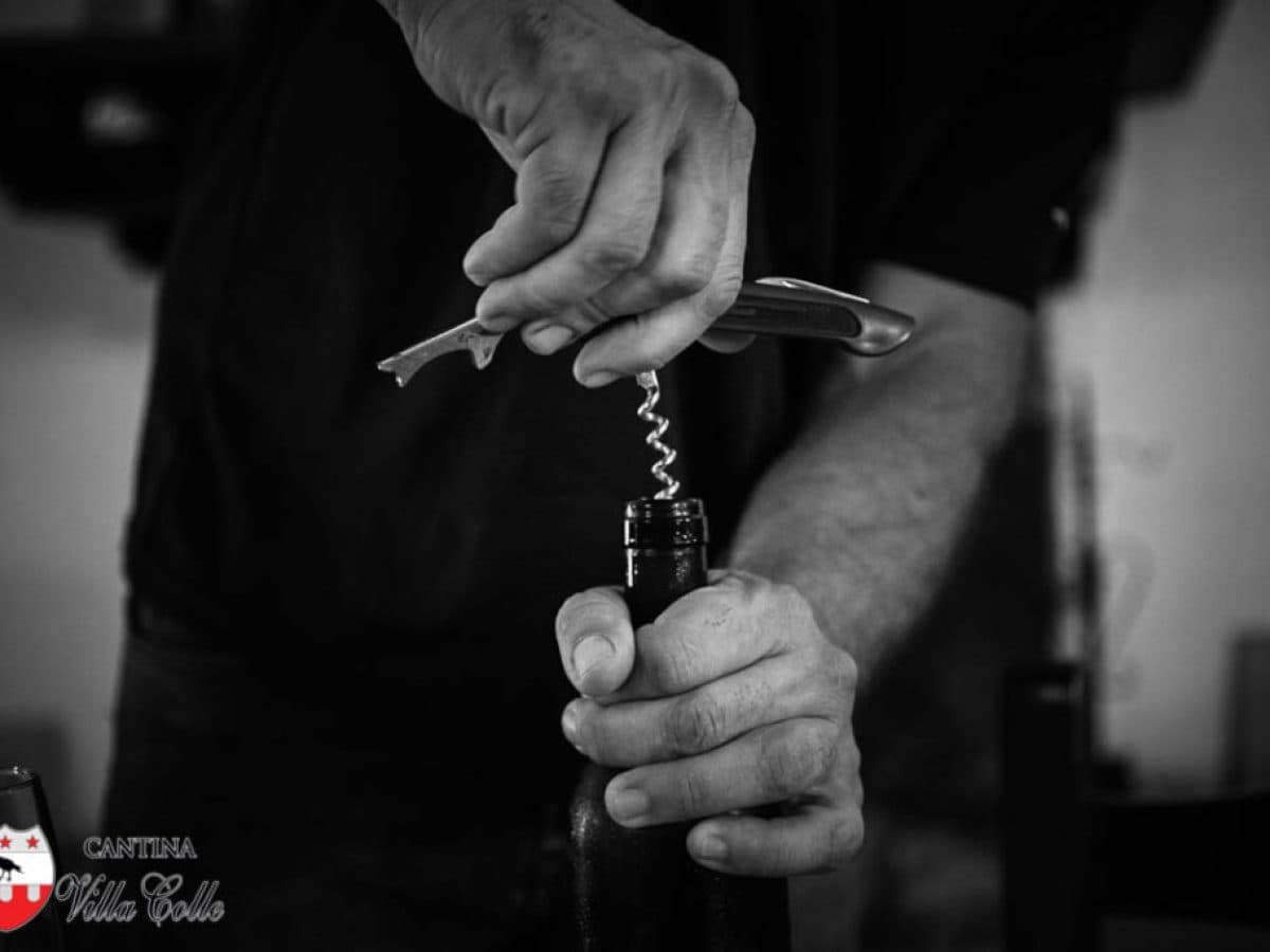 Il cammino delle suore, alla scoperta dei vigneti "eroici" di Cantina Villa Colle