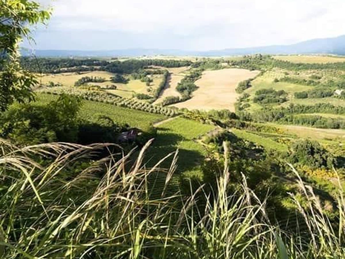 Degustazione 6 vini. 2