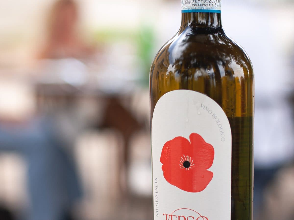 WINE TOUR E DEGUSTAZIONE CON PRANZO O CENA 5