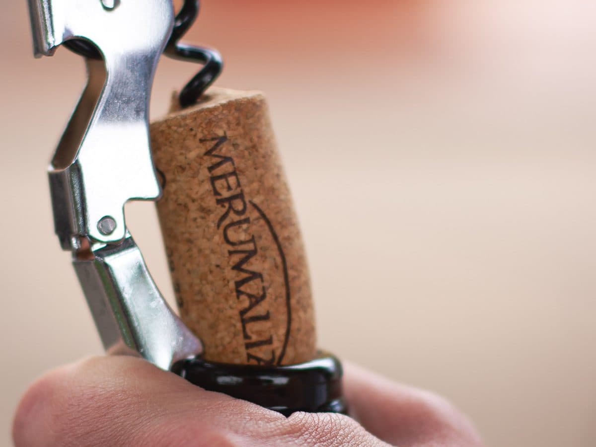 WINE TOUR E DEGUSTAZIONE CON PRANZO O CENA 2