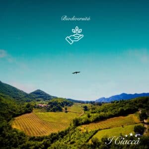 I Ciacca organic family winery tasting and Borgo tour.