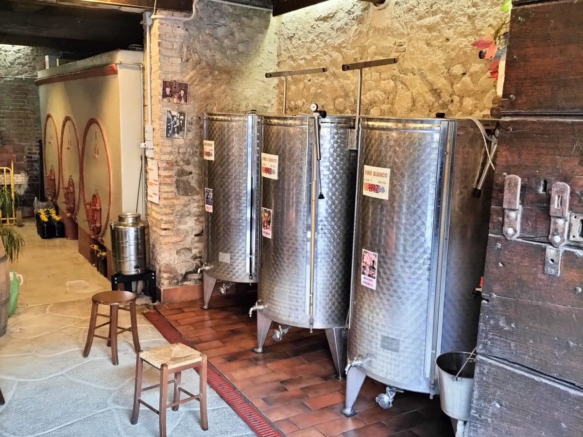 Degustazione Exclusive: Vini, Marmellate, Distillati e Formaggi 4