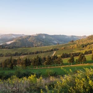 Dalla cantina alla tavola