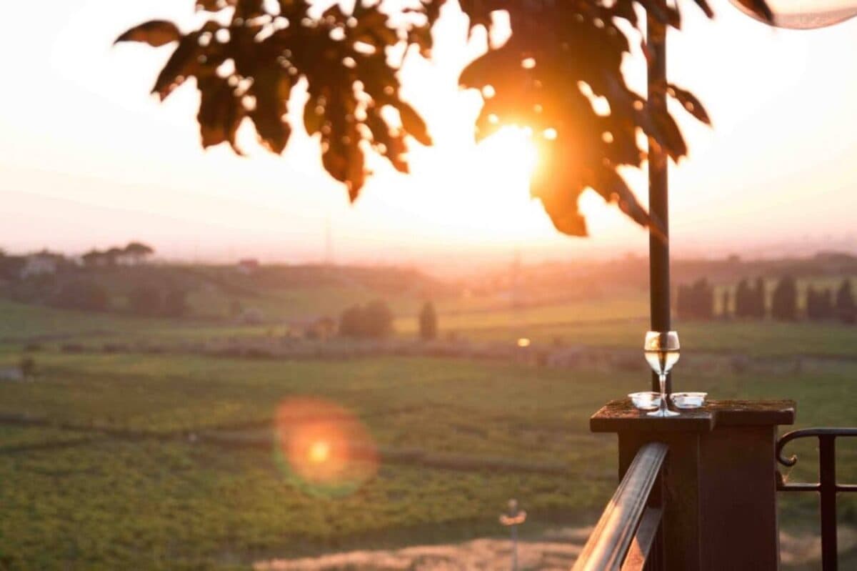 WINE TOUR E DEGUSTAZIONE CON PRANZO O CENA