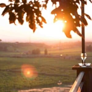 WINE TOUR E DEGUSTAZIONE CON PRANZO O CENA