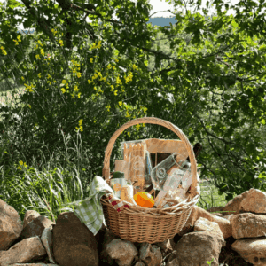 Lunch Picnic tra le colline della Maremma toscana