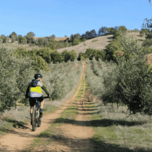Tour in e-bike con picnic o degustazione di Vini Naturali