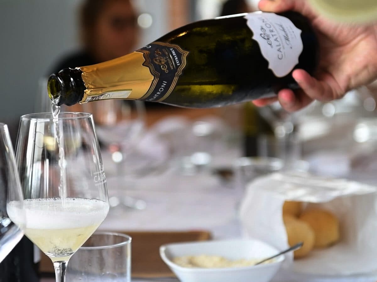 Visita Guidata e Degustazione Vini